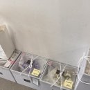 나래헤어 | W8💍 메이크업 :: 에이바이봄 나래 실장 웨딩 헤어메이크업 후기