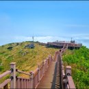 오서산 늘봄 가족독채펜션 | 봄여행 함께 하기 좋은 홍성펜션 홍성독채펜션 오서산늘봄펜션 함께 해요