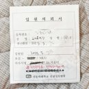 [대학병원출산/인천성모병원] 인천성모병원 신생아중환자실(NICU) 입원/퇴원 상세기록