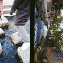 세기사진관 이미지