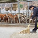 보은축산 - 포항시 북구 신덕로 262 | 보은축산
