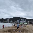 일광횟집 - 부산진구 진남로 336 | [부산 기장/일광 맛집] 흐린 날이라 더 운치 있었던 송정 서핑 구경 & 일광 '동백횟집' 모듬회 솔직 후기