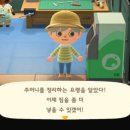 너굴상점 이미지