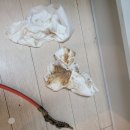 북원상가 | 원주씽크대막힘 하수구막힘싱크대막힘변기막힘뚫음누수탐지고압세척명인 실제 방문 후기