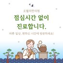 오월한의원 네이버블로그