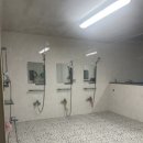 아마존 한증막 이미지