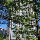 용허리근린공원 이미지