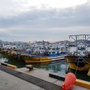 엑스포해수피아 이미지