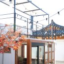 라소(laso) 이미지