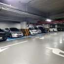 달안초 건너편 이미지