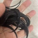 올뉴헤어 | 올뉴 TS샴푸 내돈내산 후기 장단점