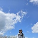 중앙화원 이미지
