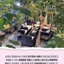마실다육