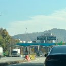 코털네 고기백화점 | 1 (성심당 DCC점, 오씨칼국수 도룡점, 성심당 롯데백화점, 롯데시티호텔, 부비부, 소품샵, 아따맘마인형...