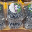 현주농장 이미지