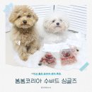 봄봄 | 강아지생식 추천 기호성 좋은 봄봄코리아 수비드 자연식 후기