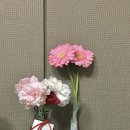 메아모스튜디오 이미지