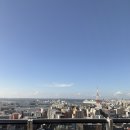 후쿠오카 호텔 추천 | 리츠칼튼 후쿠오카 숙박 후기 (조식, 룸 사진, 부대시설, 수영장, 식당 후기)