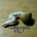 대성한식 이미지