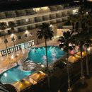 온도호텔 | 제주 그랜드조선 호텔 숙박 솔직후기 (+수영장 물온도, 라운지, 룸서비스 등 부대시설 총정리) 💫