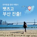 펫츠고트래블 이미지