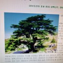 [전례 영성 – 준성사] 준성사, 믿는 만큼 열매 맺는 파스카 신비 왜 성사가 아니고 준(準)성사인가 이미지