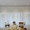 서울 백일떡 / 용산 백일떡/ 다온설기 종로점 후기