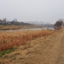 고향국밥 이미지