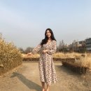 오브로더 이미지