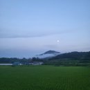 공가네민박