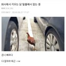 용산-현장-473 | 그럼 그냥 9월 해킹 진행할께요