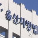 소나무화훼 이미지