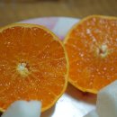 은영농장 이미지