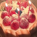 파니스코르