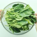 푸른휘트니스 이미지