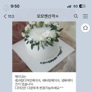 모모앤산격 이미지