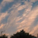 연세선이고은치과의원 이미지