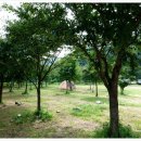 소똥령 민박 이미지