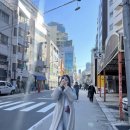 여유미미
