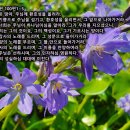 진양목장 이미지