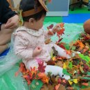 평생학습가족관 | [경주]평생학습가족관 오감놀이 첫 수업 - 도토리편