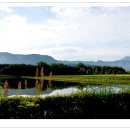 기리시마 이미지