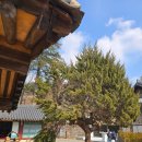 사곡1구 | 은해사 108순례(12회차)