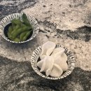 미주사 | 강남역 룸 이자카야 술집 이자키야 미주 강남2호점 방문후기