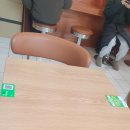 얌얌이푸드 | 서울대입구역_그랩 솔직후기 / 서울대혼밥 / 서울대입구역간편식 / 서울대입구역분식 / 서울대입구역...