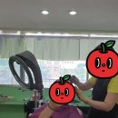 린헤어캐슬