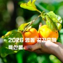 항아리곶감