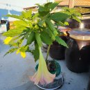 왕짜증 나는 해외 직구 이미지