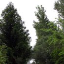 한인농장 이미지