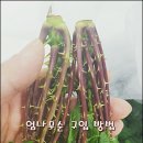 해순농장 이미지